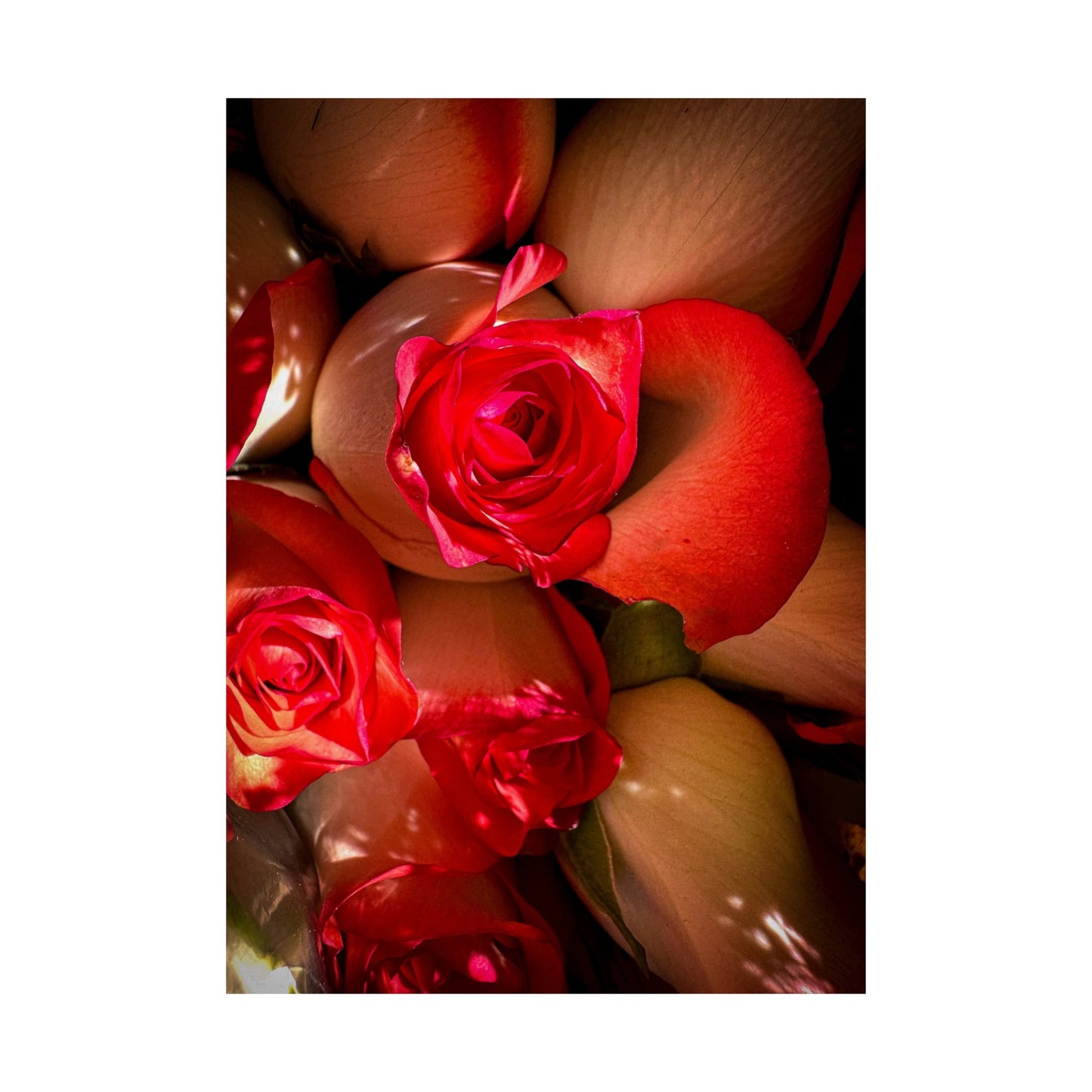 Flowers Matte Vertical Poster