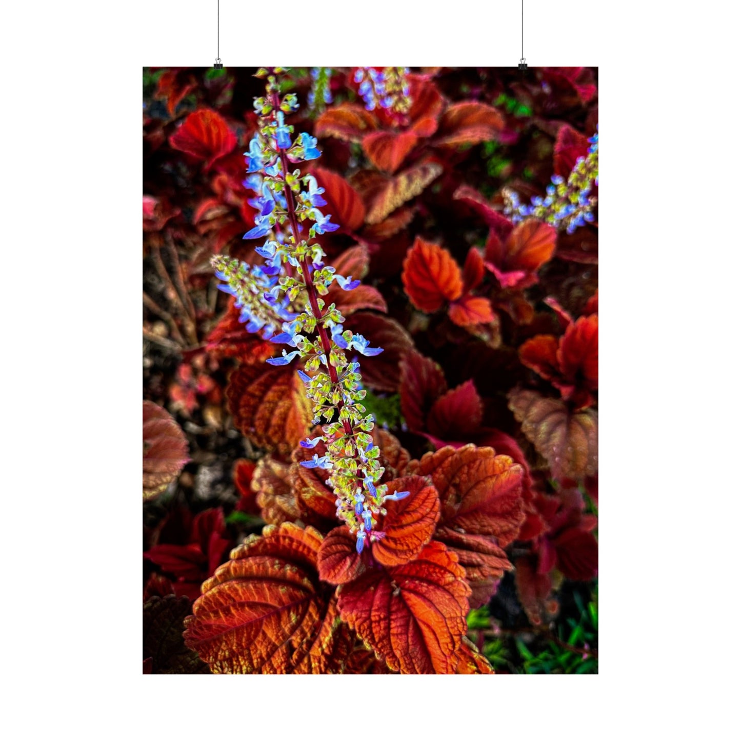 Flowers| Matte Vertical Posters | Gifts| Posters| Professional photos