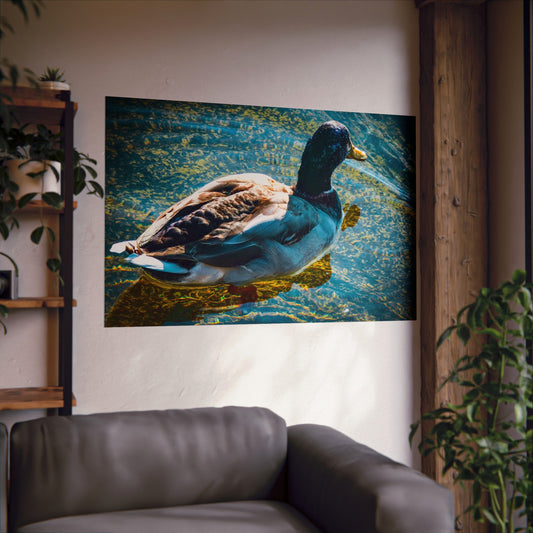 Duck  Matte Horizontal Posters