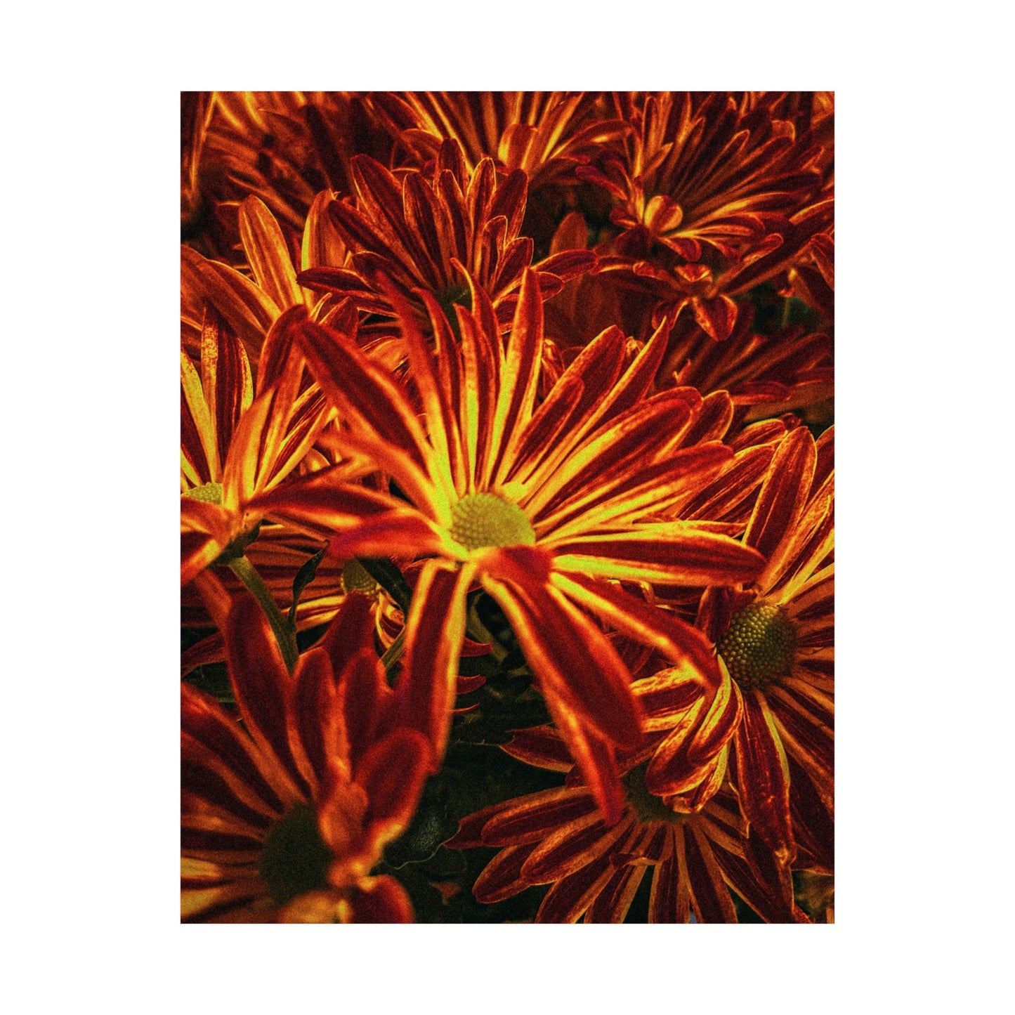 Matte Vertical Poster OF FLOWERS