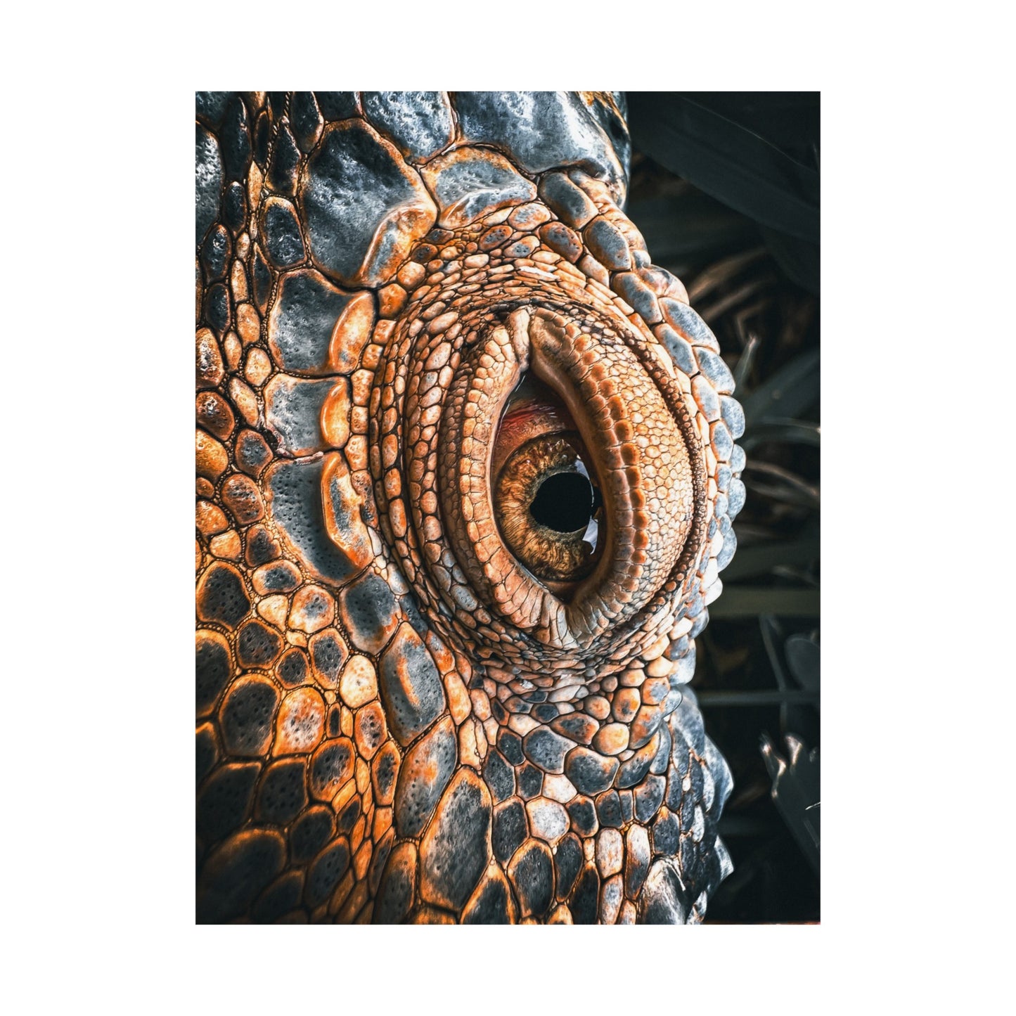 crocodile eye Matte Vertical Posters