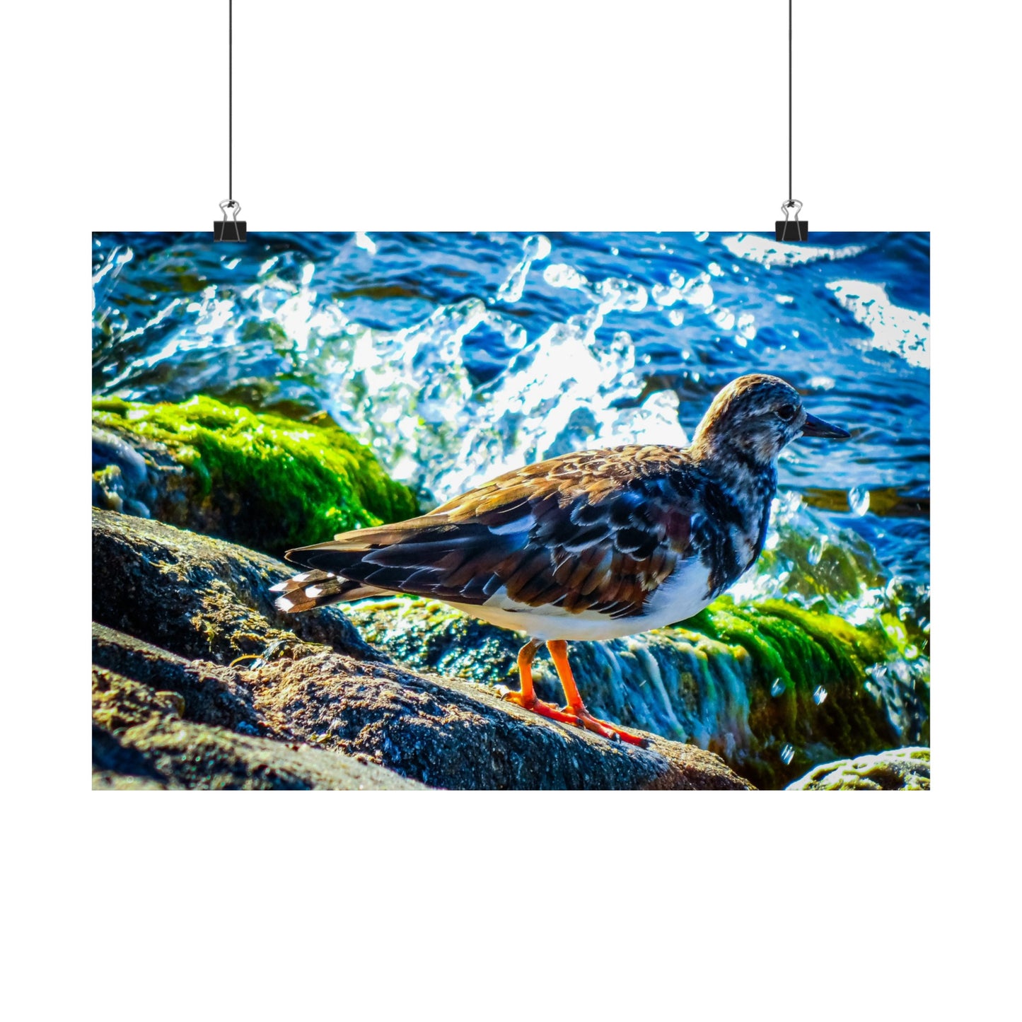 Bird Matte Horizontal Posters