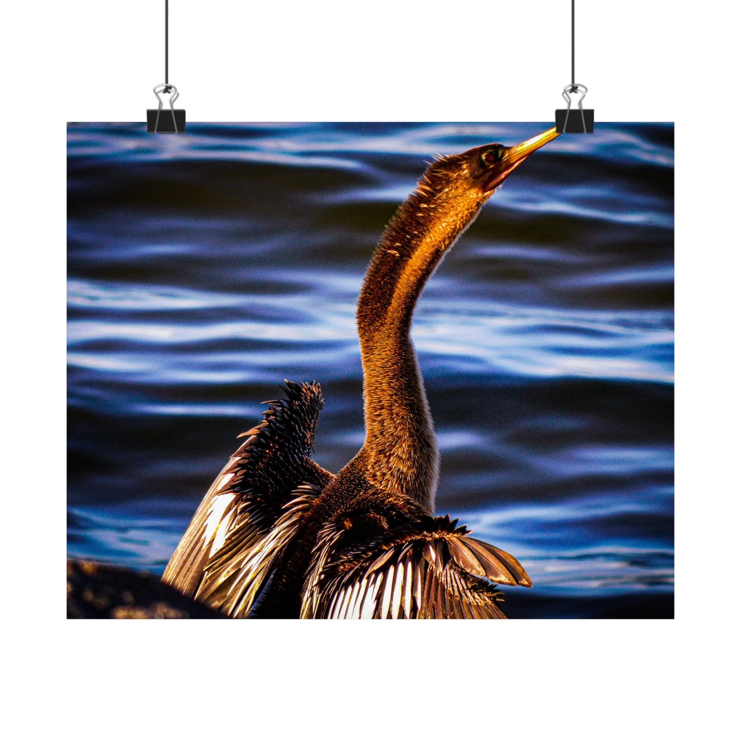 Bird Matte Horizontal Posters