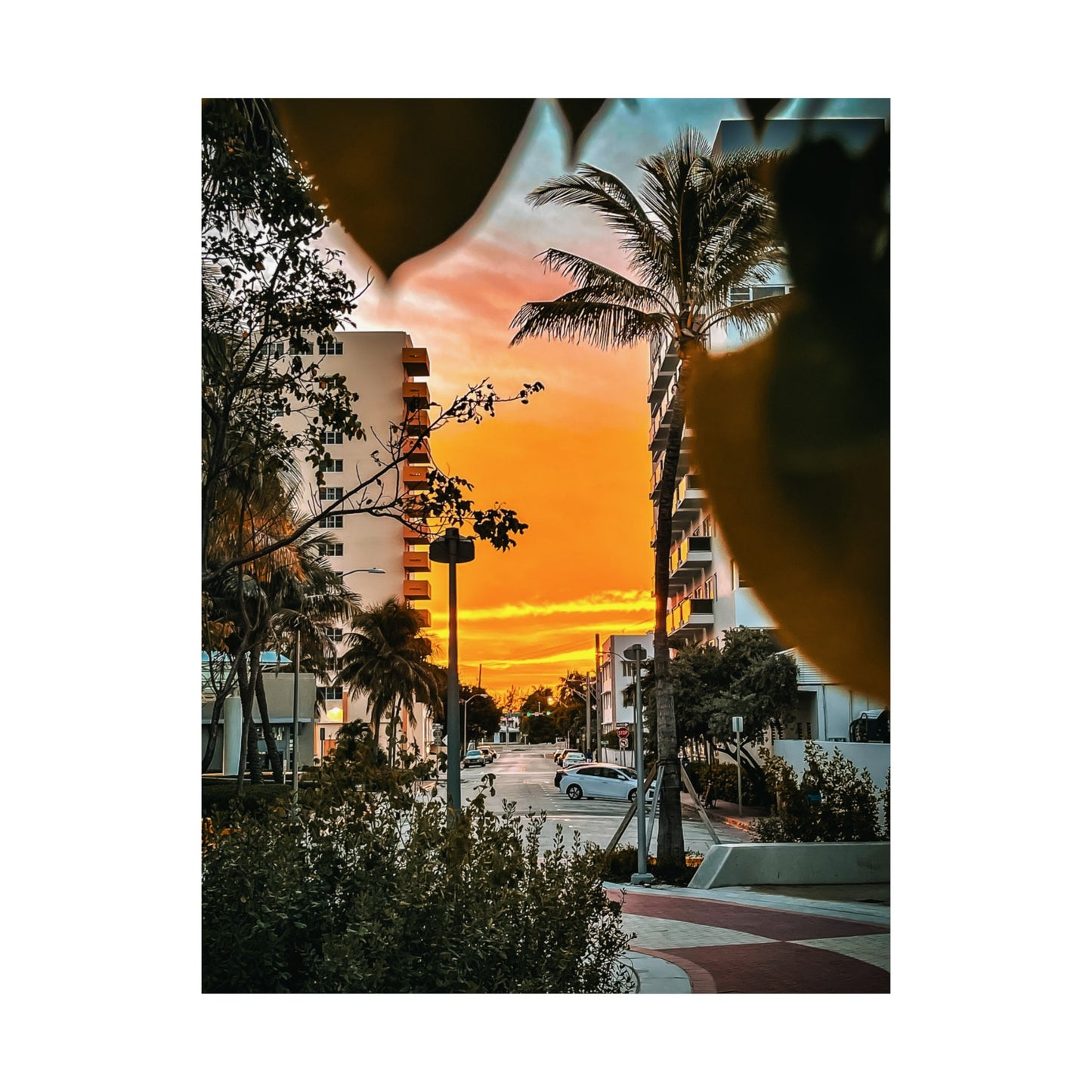 Miami Buildings Matte Vertical Posters