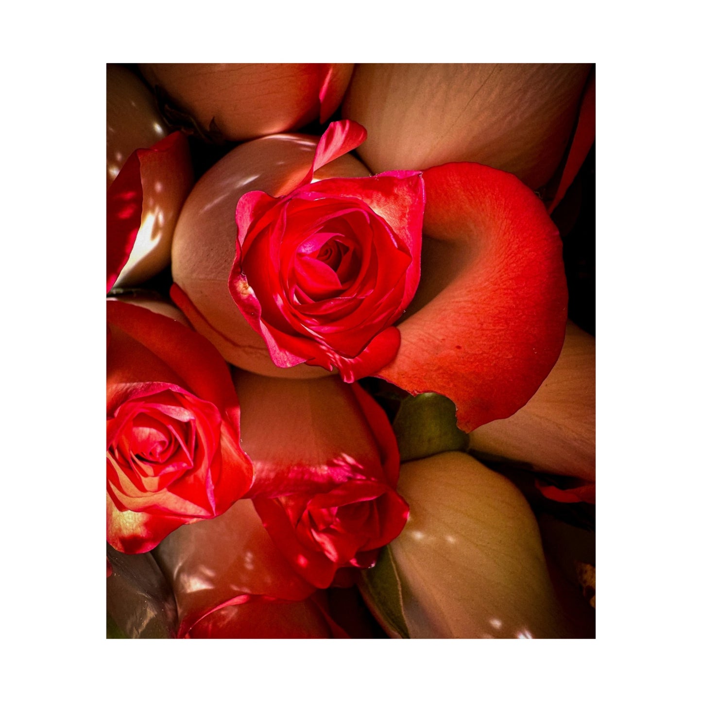 Flowers Matte Vertical Poster