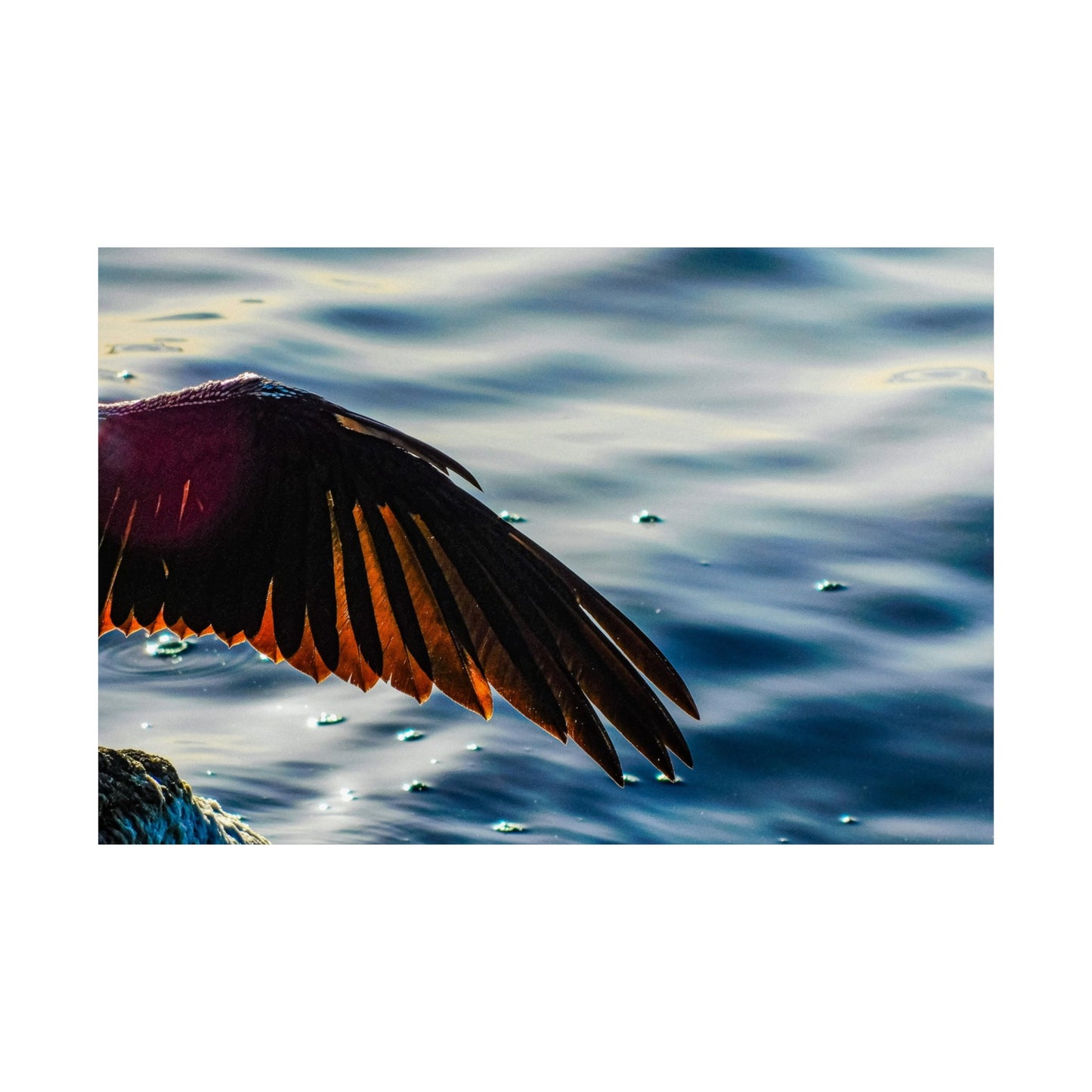 Bird wing Matte Horizontal Posters