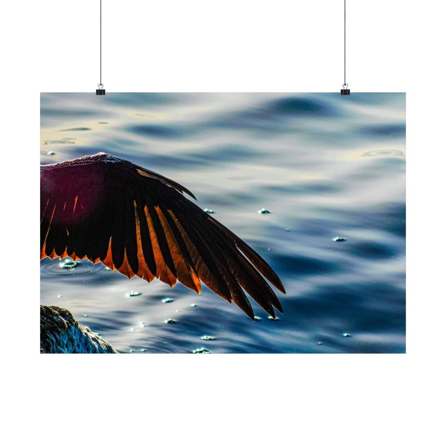 Bird wing Matte Horizontal Posters