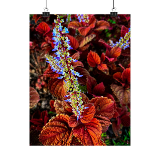 Flowers| Matte Vertical Posters | Gifts| Posters| Professional photos