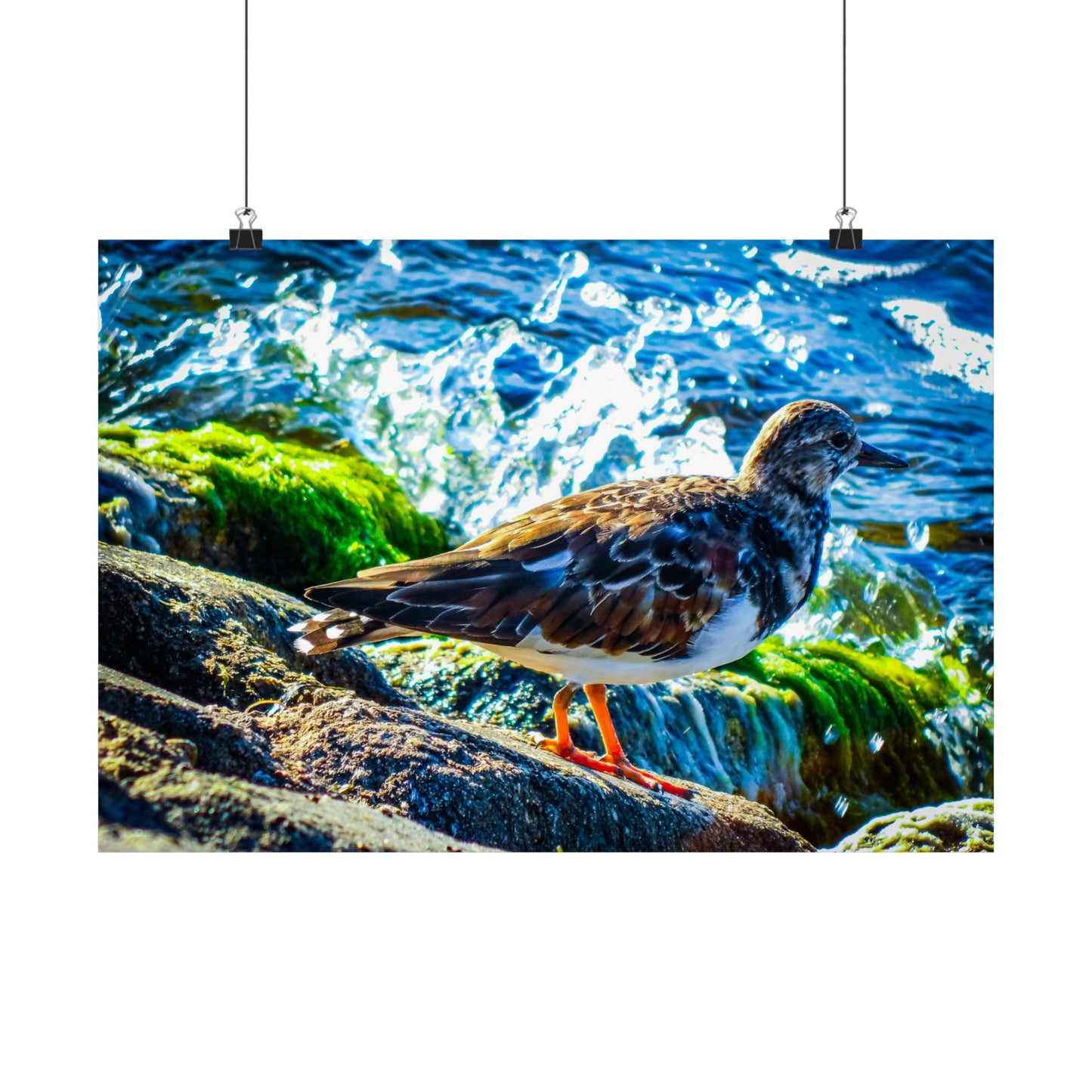 Bird Matte Horizontal Posters