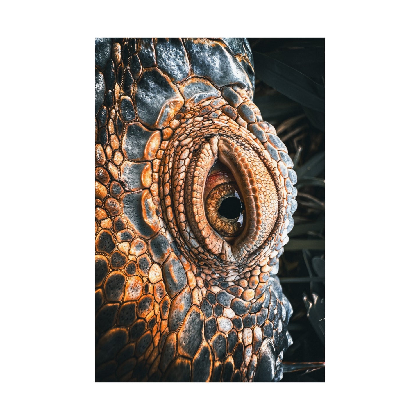 crocodile eye Matte Vertical Posters