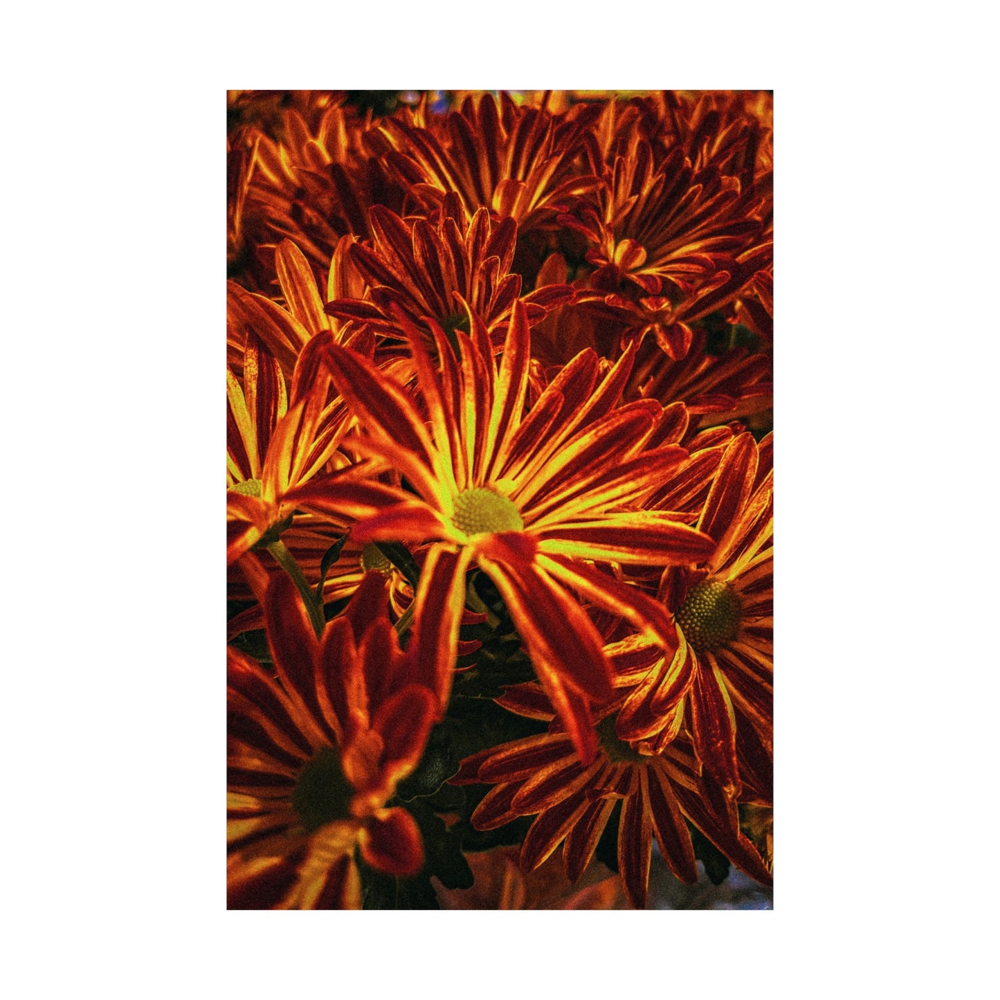 Matte Vertical Poster OF FLOWERS