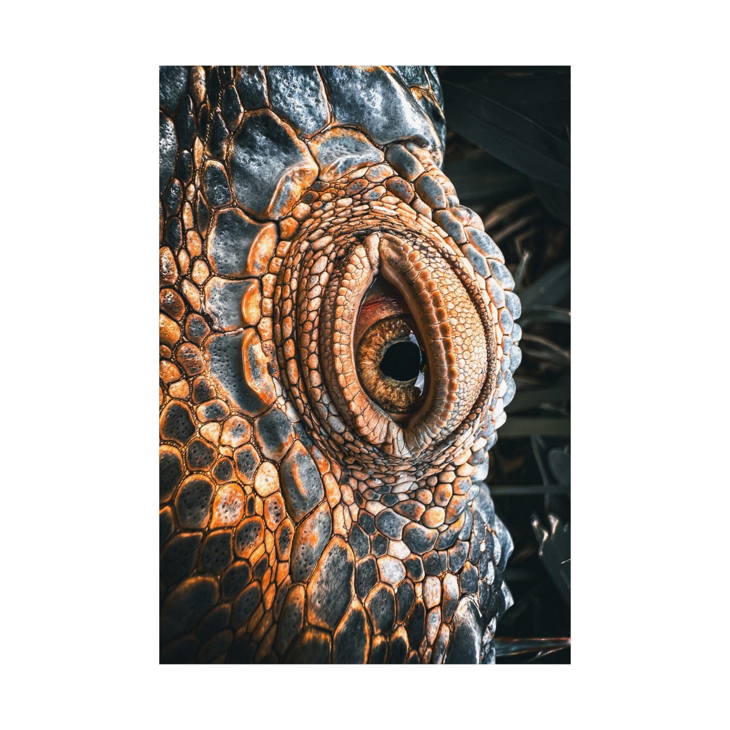 crocodile eye Matte Vertical Posters