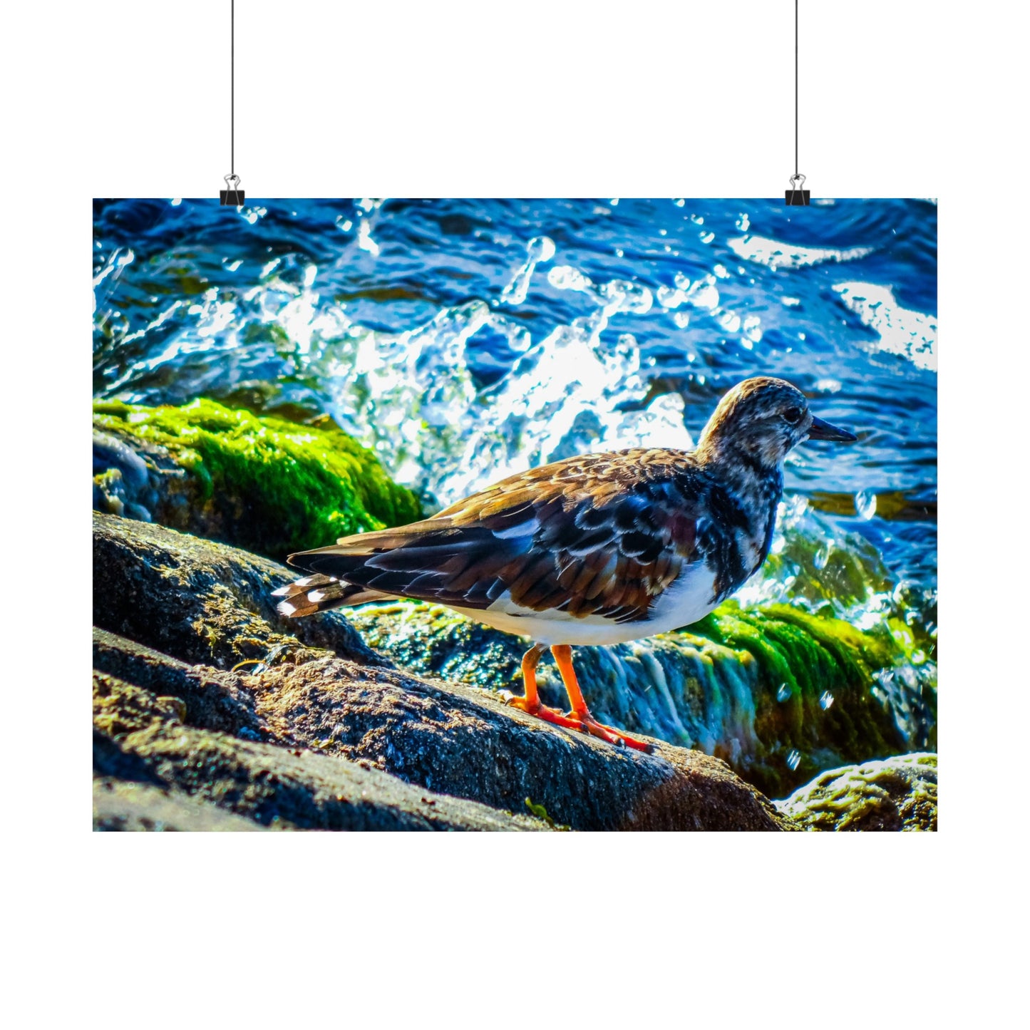 Bird Matte Horizontal Posters