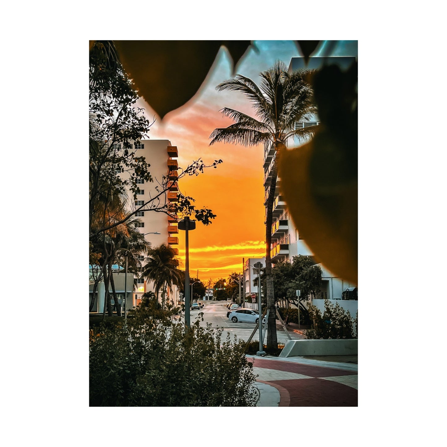 Miami Buildings Matte Vertical Posters