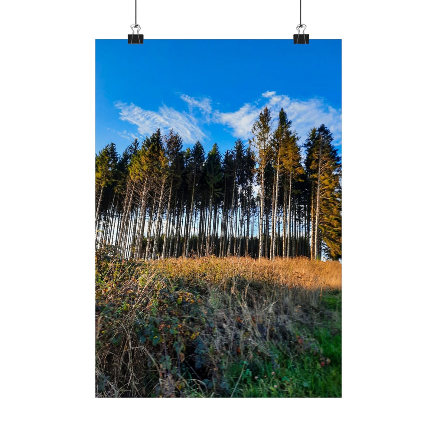 Belgium Forest Matte Vertical Posters