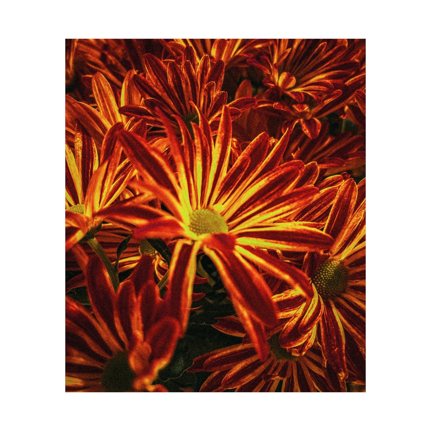 Matte Vertical Poster OF FLOWERS