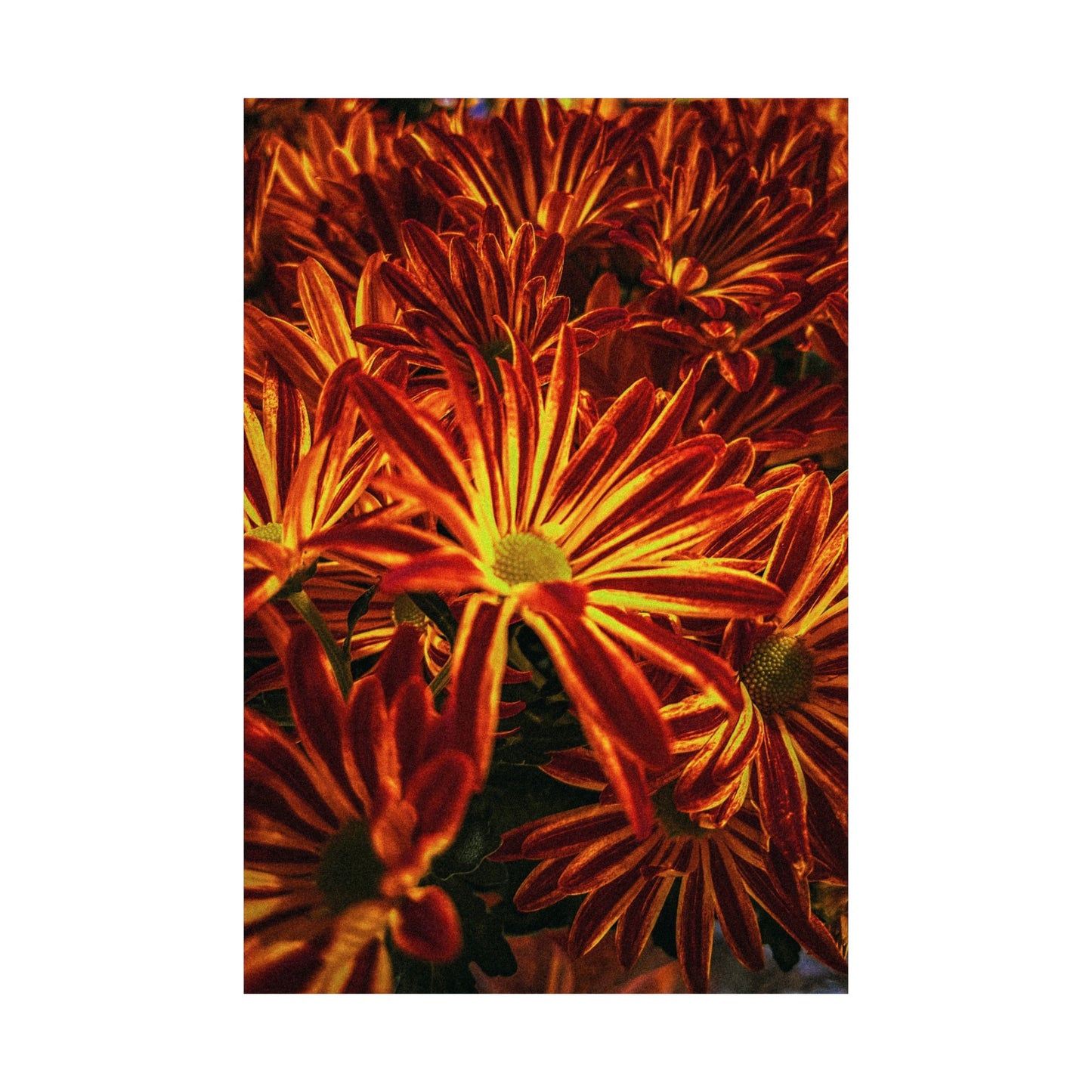 Matte Vertical Poster OF FLOWERS