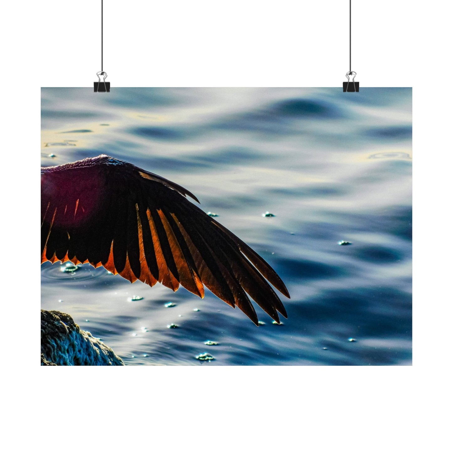 Bird wing Matte Horizontal Posters