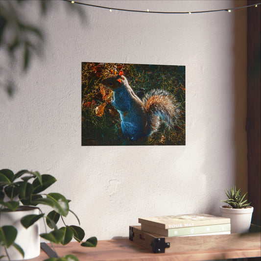 Squirrel Photography Matte Horizontal Posters